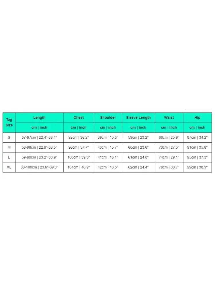 Set Woman 2 Pieces Trouser Suits Zipper Jacket Pants Tracksuits Women Patchwork Sportwear Casual Female Jogging Suit 2025 Sets - Global Merch Markets